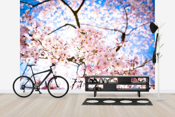PHOTOWALL / Weeping Cherry Tree (e24104)