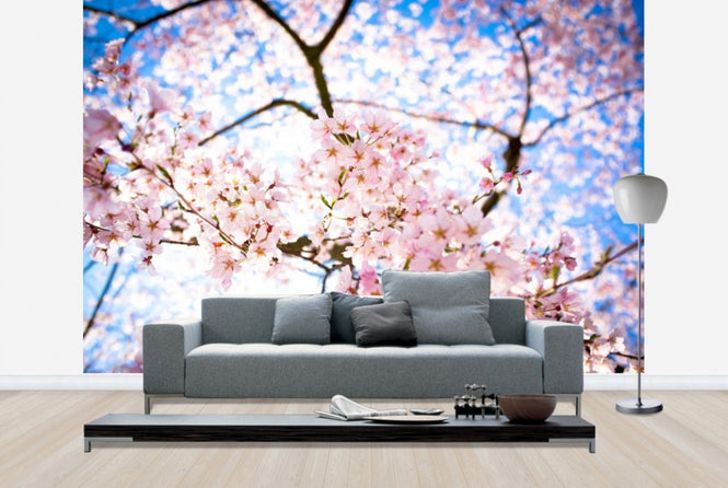 PHOTOWALL / Weeping Cherry Tree (e24104)