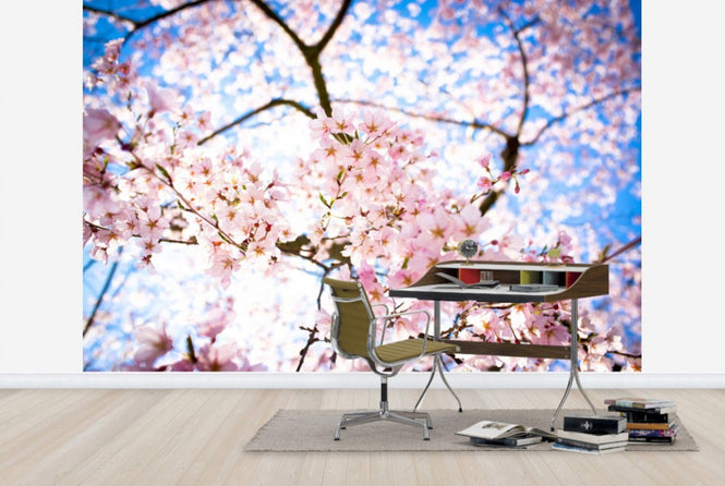 PHOTOWALL / Weeping Cherry Tree (e24104)