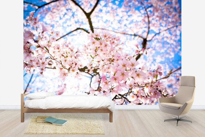 PHOTOWALL / Weeping Cherry Tree (e24104)