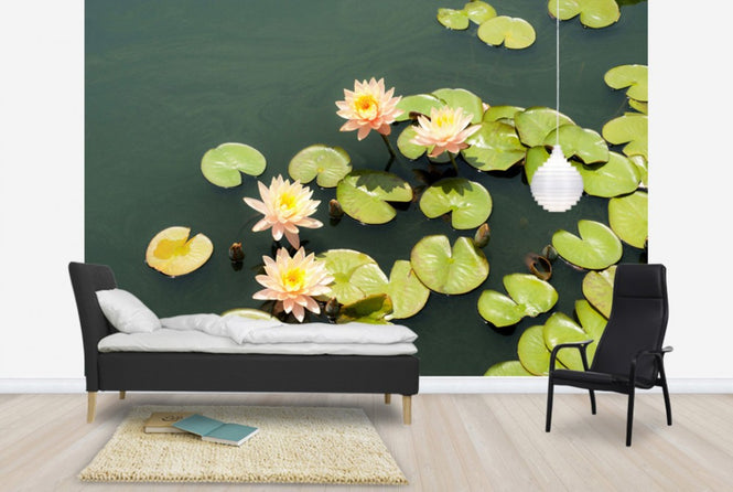 PHOTOWALL / Pond with Pale Pink Water Lilys (e24105)