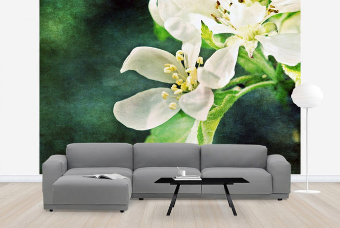 PHOTOWALL / Apple Blossom (e24121)