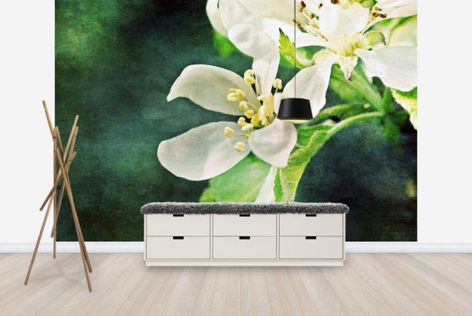 PHOTOWALL / Apple Blossom (e24121)