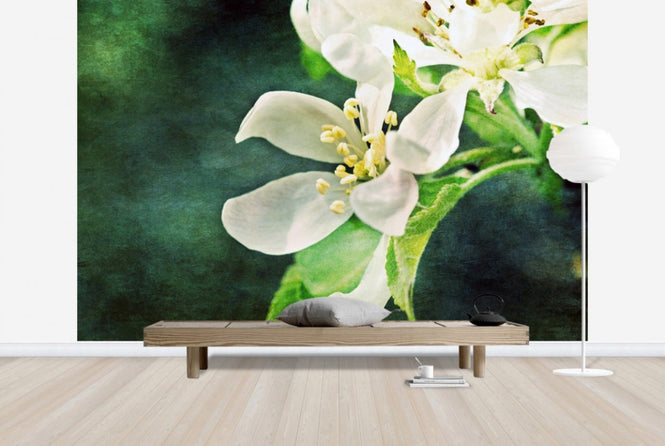 PHOTOWALL / Apple Blossom (e24121)