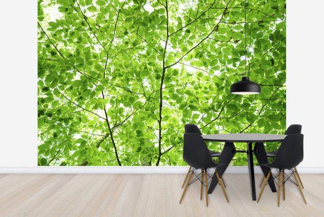 PHOTOWALL / Wall of Fresh Leaves (e24122)