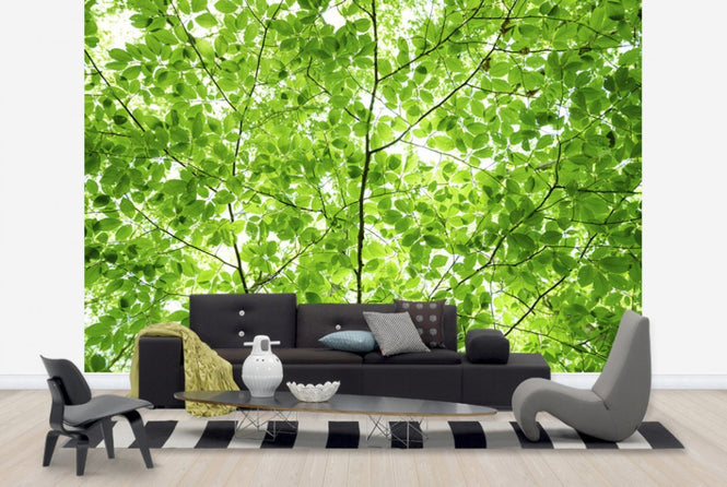 PHOTOWALL / Wall of Fresh Leaves (e24122)