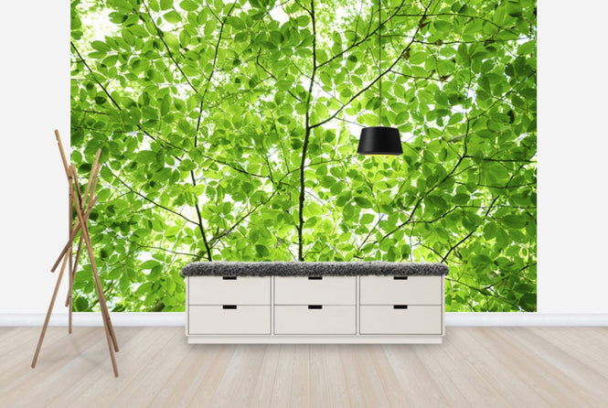 PHOTOWALL / Wall of Fresh Leaves (e24122)