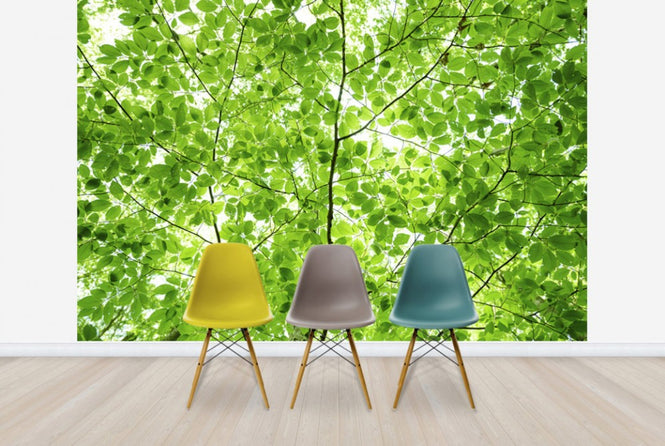 PHOTOWALL / Wall of Fresh Leaves (e24122)