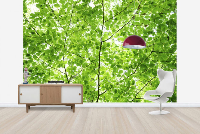 PHOTOWALL / Wall of Fresh Leaves (e24122)