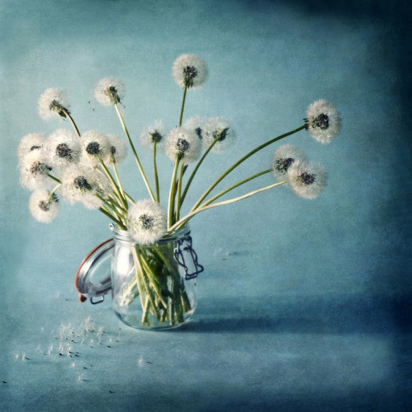 PHOTOWALL / Storing Wishes (e24123)