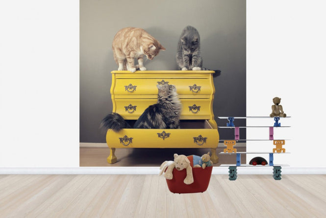 PHOTOWALL / Meeting in a Yellow Bureau (e24130)