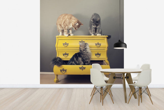 PHOTOWALL / Meeting in a Yellow Bureau (e24130)