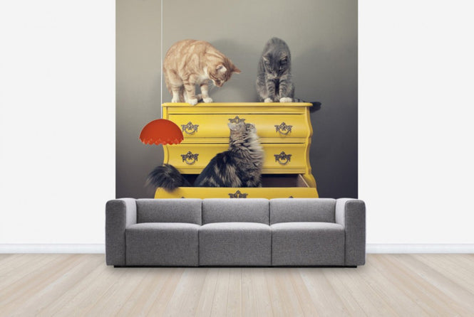 PHOTOWALL / Meeting in a Yellow Bureau (e24130)