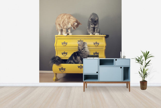 PHOTOWALL / Meeting in a Yellow Bureau (e24130)
