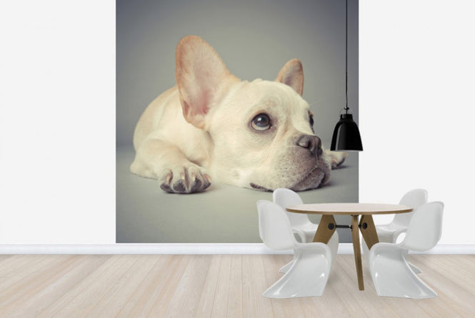 PHOTOWALL / Why so Glum (e24131)