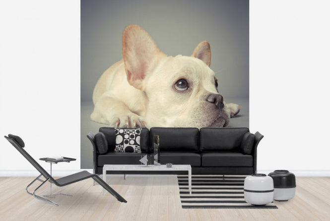 PHOTOWALL / Why so Glum (e24131)