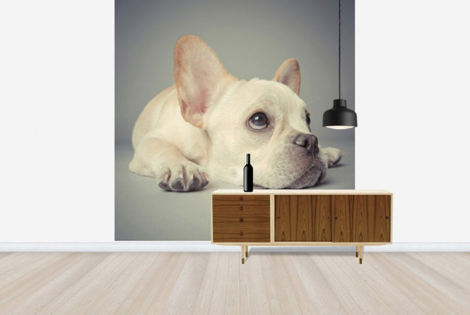 PHOTOWALL / Why so Glum (e24131)