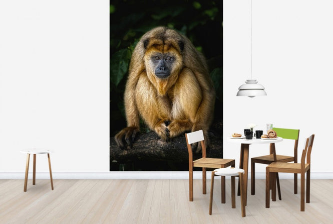 PHOTOWALL / Golden Monkey (e24133)