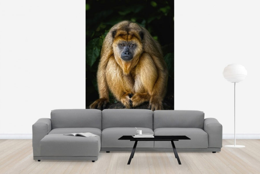 PHOTOWALL / Golden Monkey (e24133)