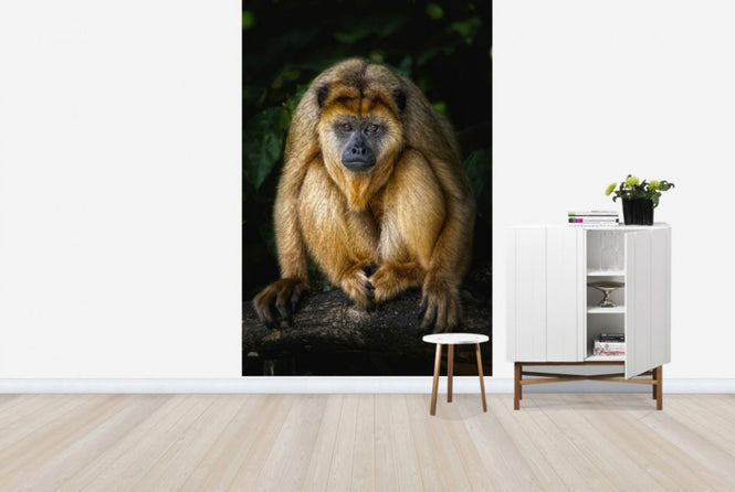 PHOTOWALL / Golden Monkey (e24133)