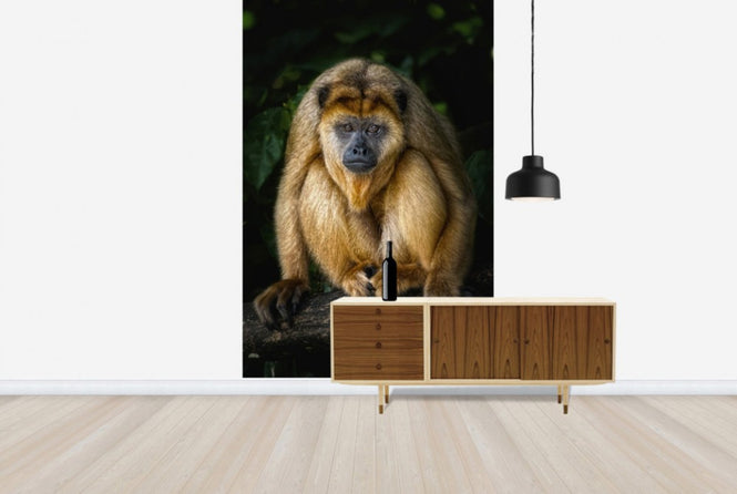 PHOTOWALL / Golden Monkey (e24133)