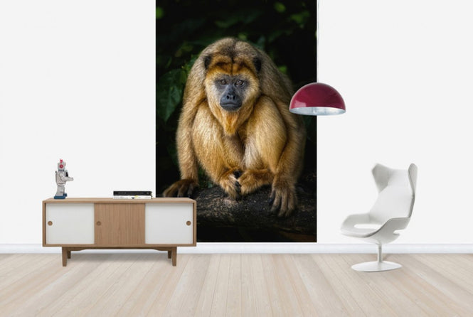 PHOTOWALL / Golden Monkey (e24133)