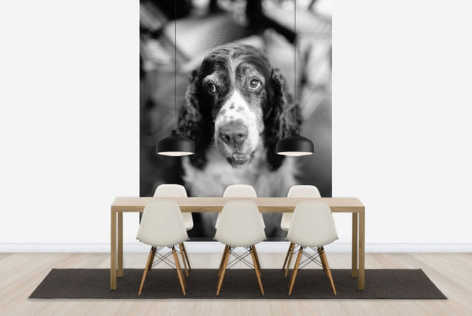 PHOTOWALL / Loyal Friend (e24138)