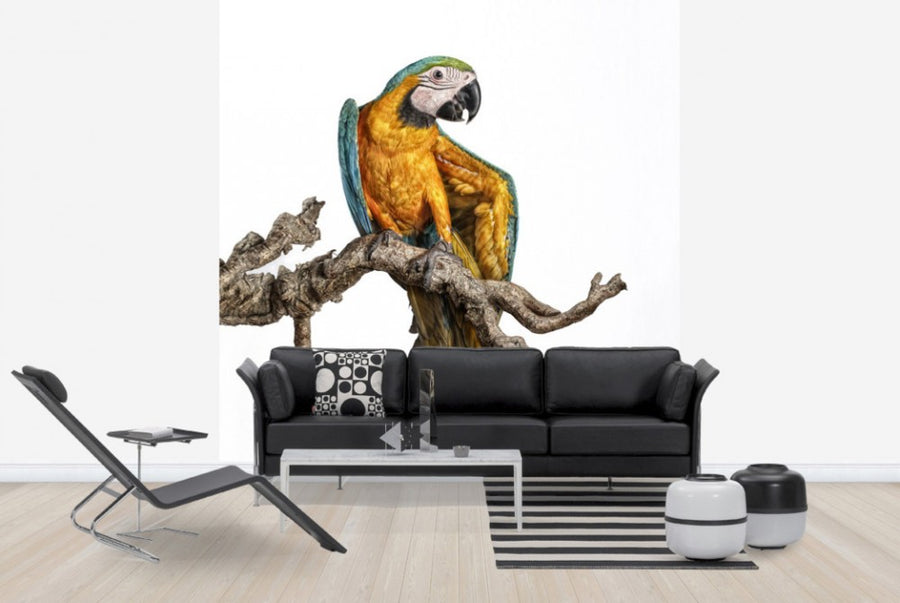 PHOTOWALL / Dancing Parrot (e24140)