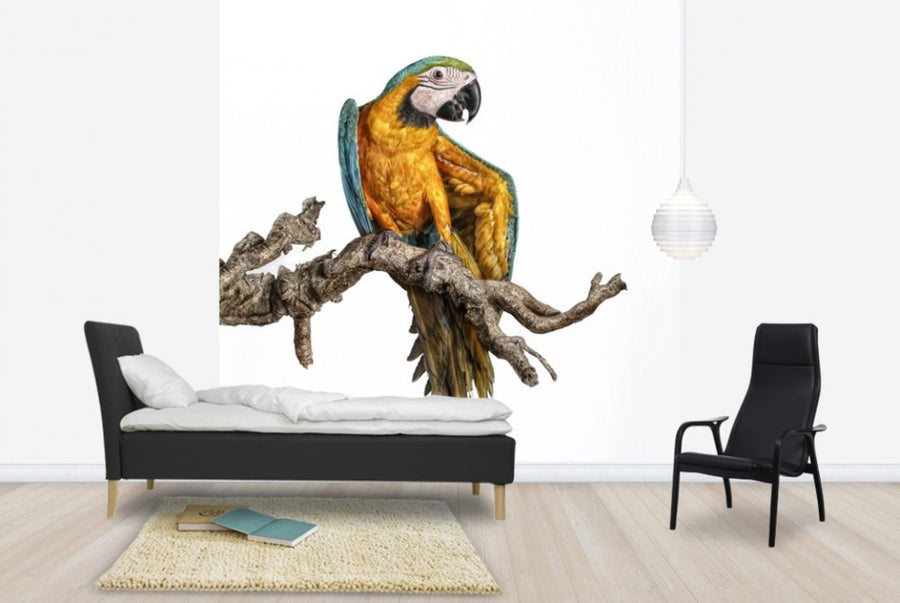 PHOTOWALL / Dancing Parrot (e24140)