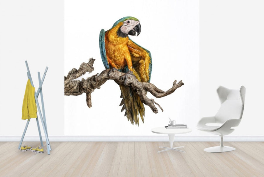 PHOTOWALL / Dancing Parrot (e24140)