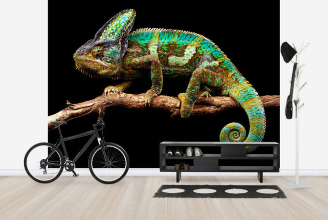 PHOTOWALL / Nice and Slow (e24142)