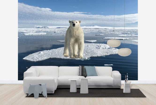 PHOTOWALL / On Thin Ice (e24145)