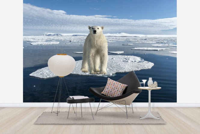 PHOTOWALL / On Thin Ice (e24145)