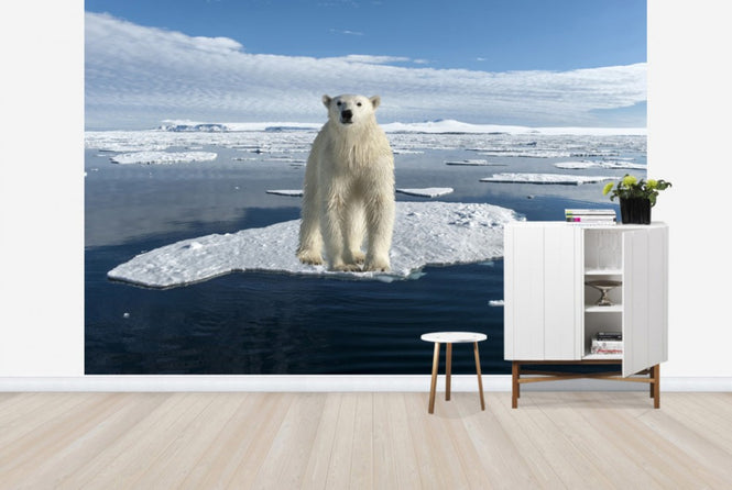 PHOTOWALL / On Thin Ice (e24145)