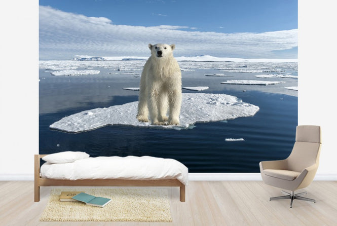 PHOTOWALL / On Thin Ice (e24145)