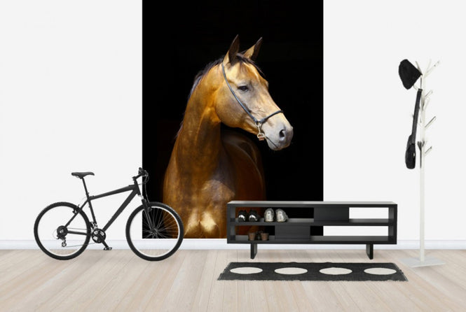 PHOTOWALL / Golden Horse (e24147)