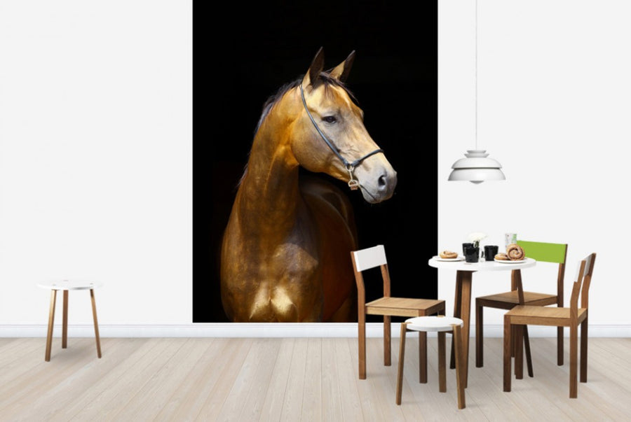 PHOTOWALL / Golden Horse (e24147)