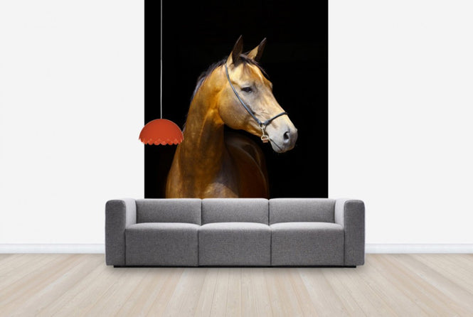 PHOTOWALL / Golden Horse (e24147)