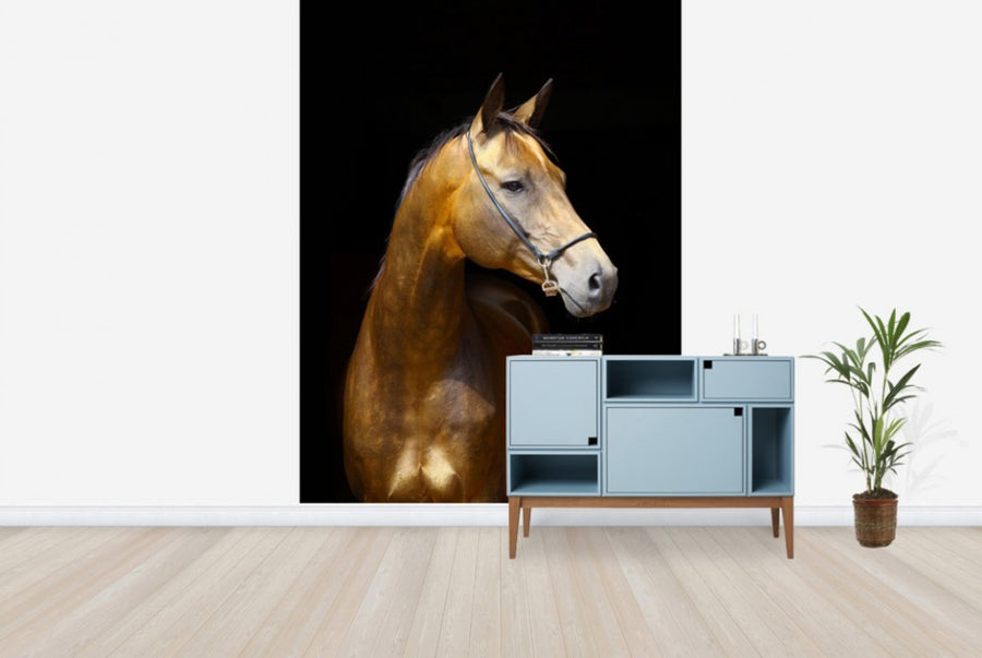 PHOTOWALL / Golden Horse (e24147)