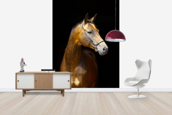 PHOTOWALL / Golden Horse (e24147)
