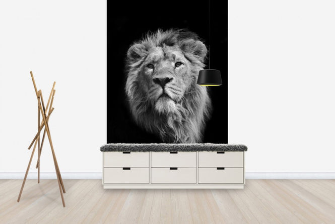 PHOTOWALL / Royal Look (e24148)