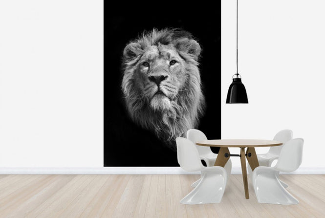 PHOTOWALL / Royal Look (e24148)