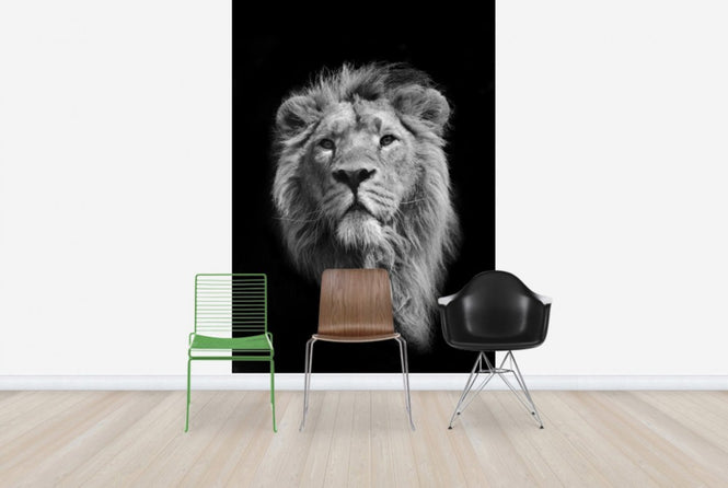 PHOTOWALL / Royal Look (e24148)