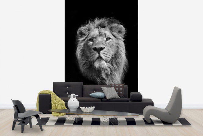PHOTOWALL / Royal Look (e24148)