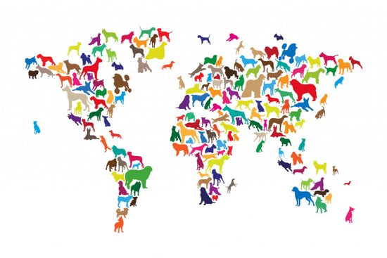 PHOTOWALL / Dogs World Map Multicolor (e24207)
