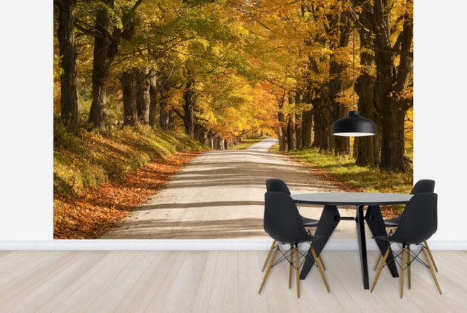 PHOTOWALL / Maple Canopy (e24297)