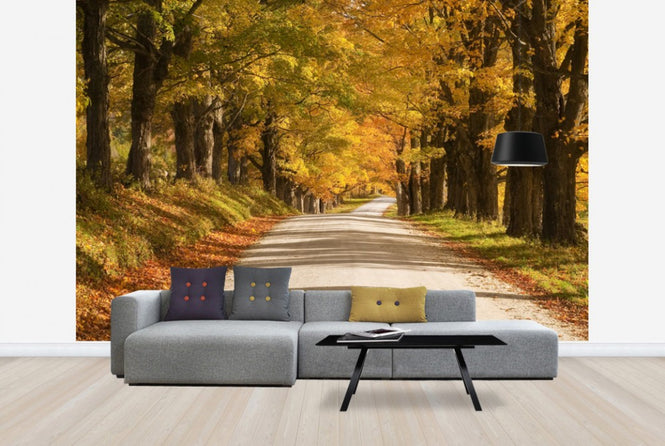 PHOTOWALL / Maple Canopy (e24297)