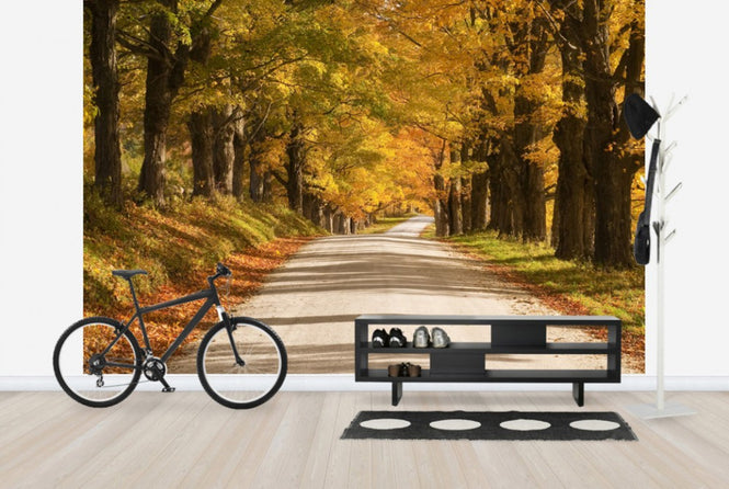PHOTOWALL / Maple Canopy (e24297)