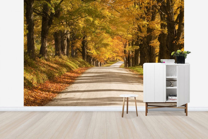 PHOTOWALL / Maple Canopy (e24297)