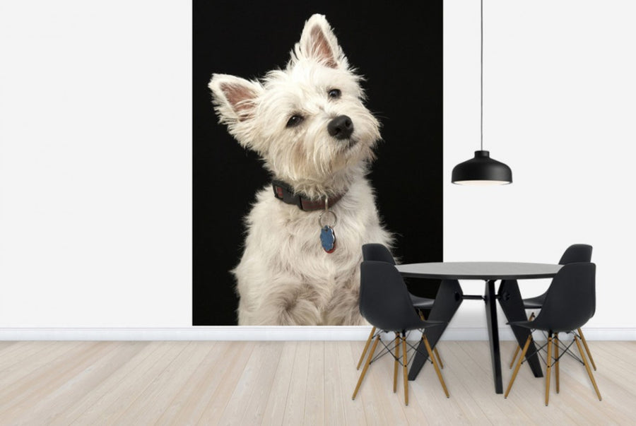 PHOTOWALL / West Highland Terrier (e24351)